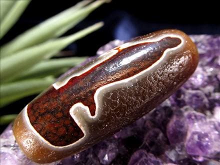 天珠,馬蹄痕天珠,至純天珠,瑪瑙,黒鳶赤紋