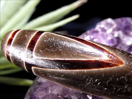 天珠,馬蹄痕天珠,至純天珠,瑪瑙,黒鳶赤紋