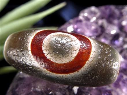 天珠,馬蹄痕天珠,至純天珠,瑪瑙,黒鳶赤紋