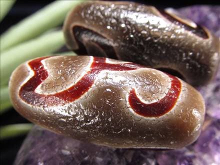 天珠,馬蹄痕天珠,至純天珠,瑪瑙,黒鳶赤紋