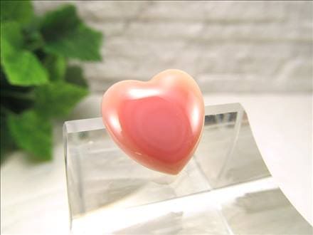 ピーチシェル クイーンコンクシェル ハート コンクパール ピンクガイ