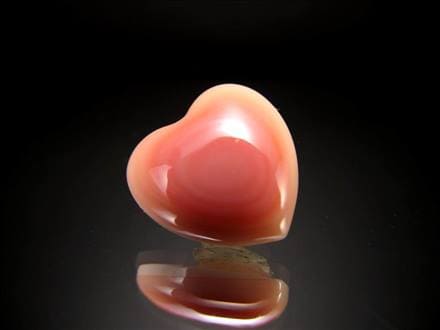 ピーチシェル クイーンコンクシェル ハート コンクパール ピンクガイ