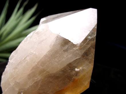 パウエライト アメジスト 紫水晶 ポイント 浄化 2月の誕生石