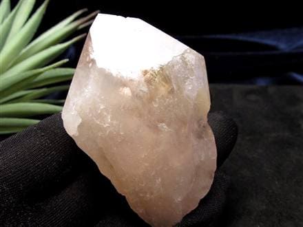 パウエライト アメジスト 紫水晶 ポイント 浄化 2月の誕生石