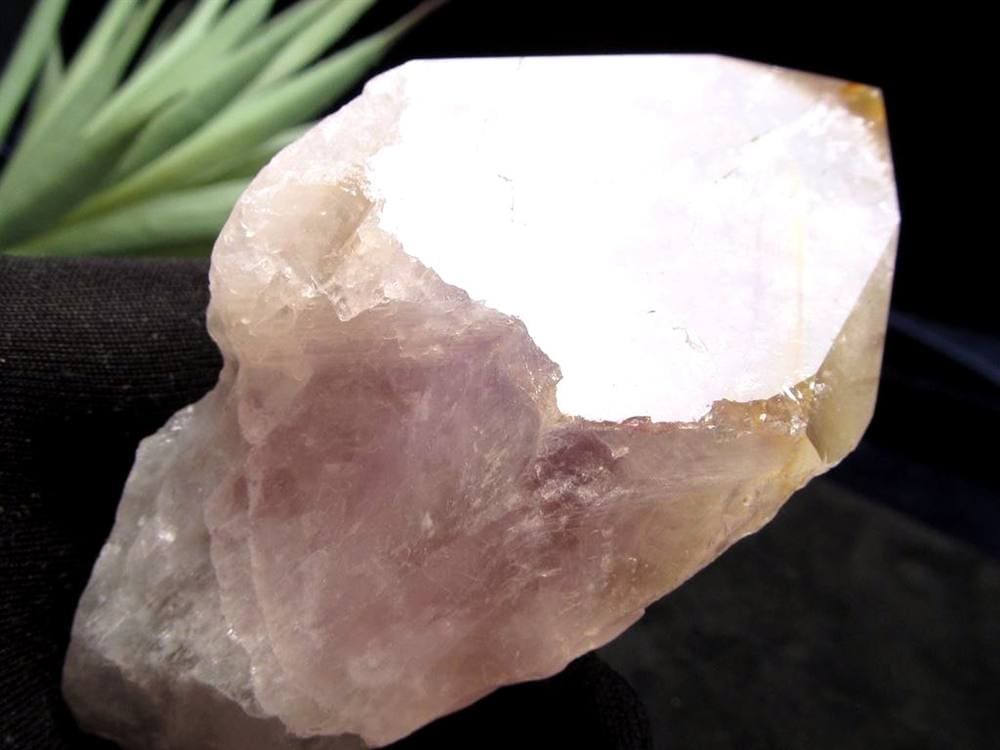 パウエライト アメジスト 紫水晶 ポイント 浄化 2月の誕生石