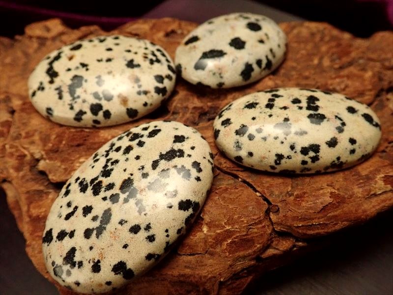 ダルメシアンジャスパー