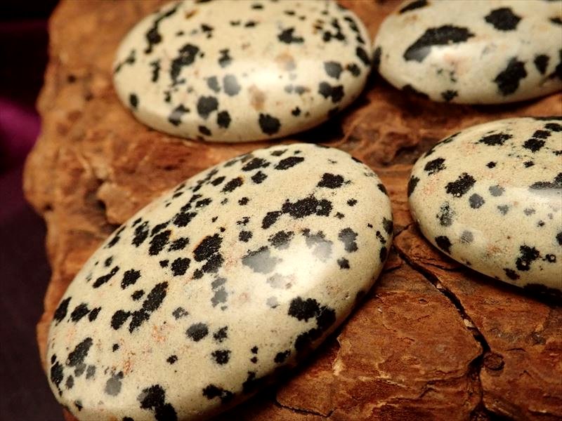 ダルメシアンジャスパー