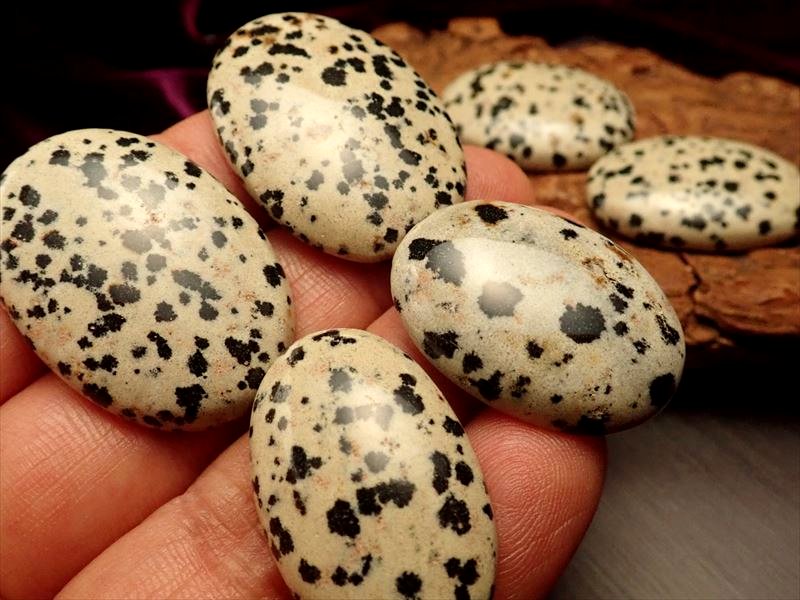 ダルメシアンジャスパー