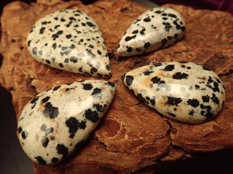 ダルメシアンジャスパー