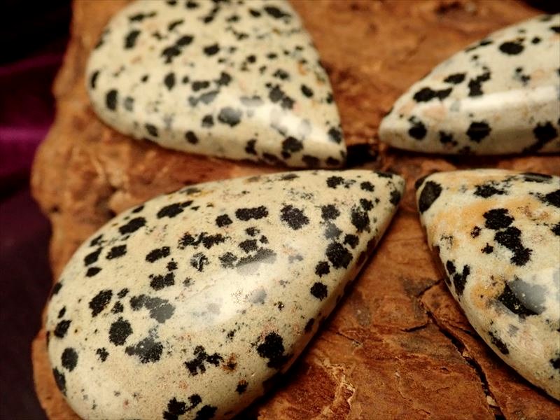 ダルメシアンジャスパー