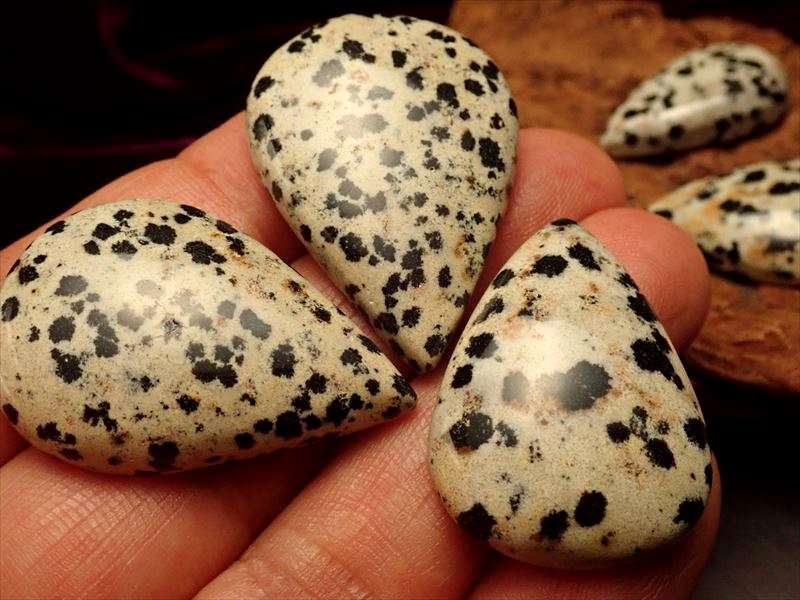 ダルメシアンジャスパー