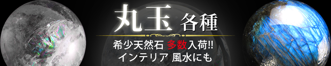 ݶ̥饤ɥХʡ2021-徽֥ver