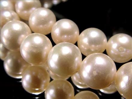 淡水パール 淡水真珠 パール 真珠 ビーズ連 連材