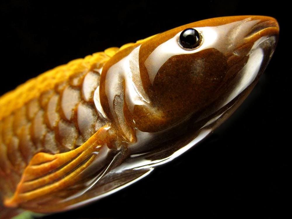 アロワナ 置物 タイガーアイ 龍魚 彫刻