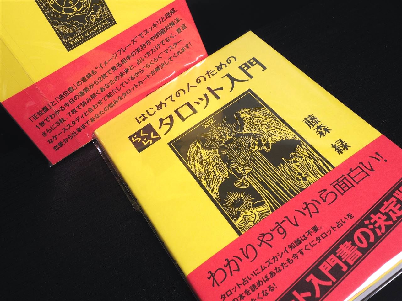 ◇らくらく！タロットカード入門書◇わかりやすいくて面白い！◇タロットカードの補助グッズ！◇はじめての人のためのらくらくタロット入門◇