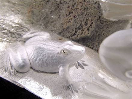 縁起物 蛙 カエル 天然水晶 置物