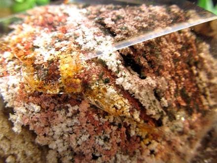 ガーデンクォーツ ポイント ファントム 庭園水晶 龍神ガーデンクォーツ