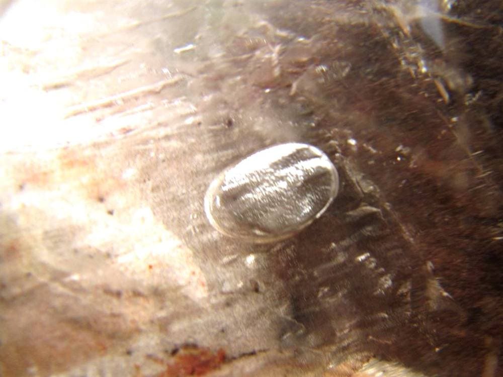 水入り水晶 エレスチャル 原石 置物 エンハイドクォーツ