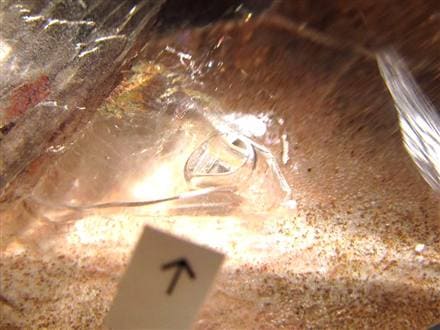 水入り水晶 エレスチャル 原石 置物 エンハイドクォーツ