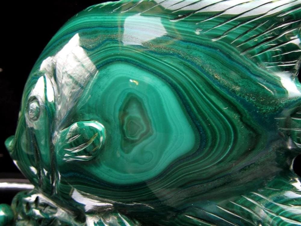 ディスカス 置物 マラカイト 熱帯魚の王様 彫刻