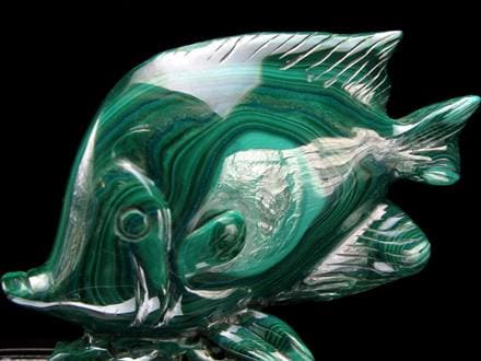 ディスカス 置物 マラカイト 熱帯魚の王様 彫刻
