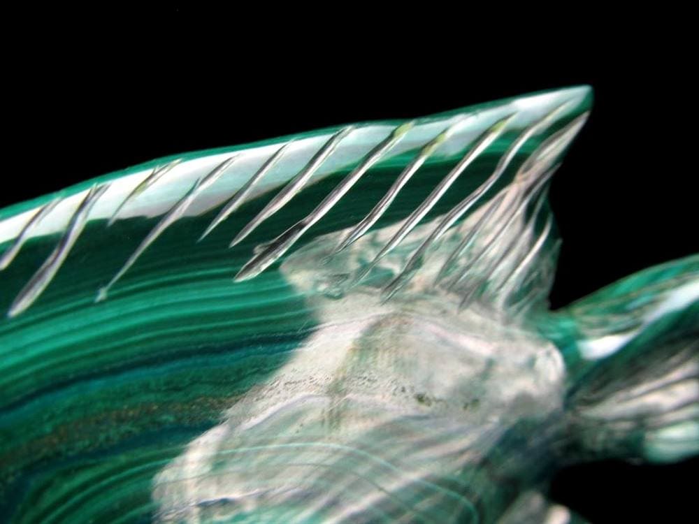 ディスカス 置物 マラカイト 熱帯魚の王様 彫刻