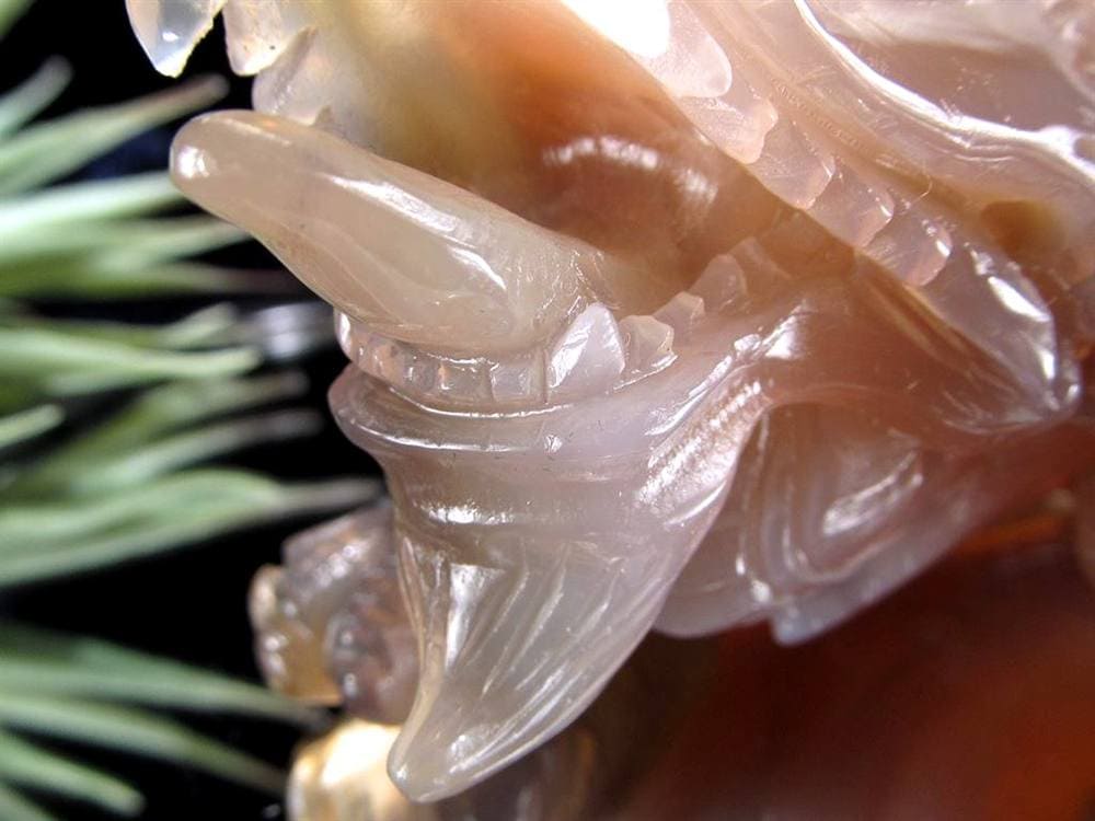 瑪瑙 メノウ めのう 龍穴アゲート トレジャー瑪瑙 龍亀 ロングイ 彫刻 置物