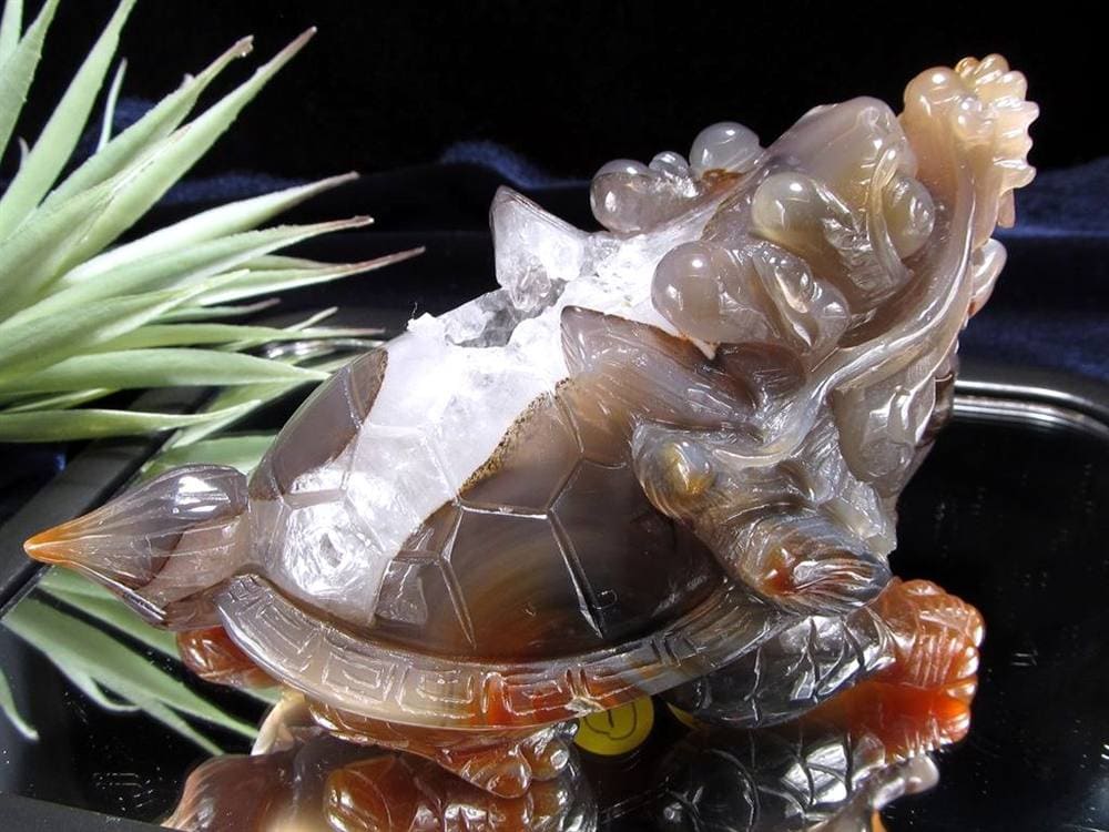 瑪瑙 メノウ めのう 龍穴アゲート トレジャー瑪瑙 龍亀 ロングイ 彫刻 置物