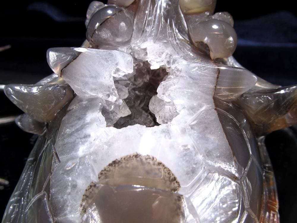 瑪瑙 メノウ めのう 龍穴アゲート トレジャー瑪瑙 龍亀 ロングイ 彫刻 置物