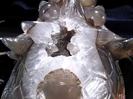 瑪瑙 メノウ めのう 龍穴アゲート トレジャー瑪瑙 龍亀 ロングイ 彫刻 置物