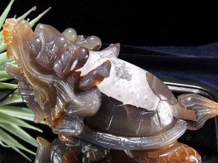 瑪瑙 メノウ めのう 龍穴アゲート トレジャー瑪瑙 龍亀 ロングイ 彫刻 置物