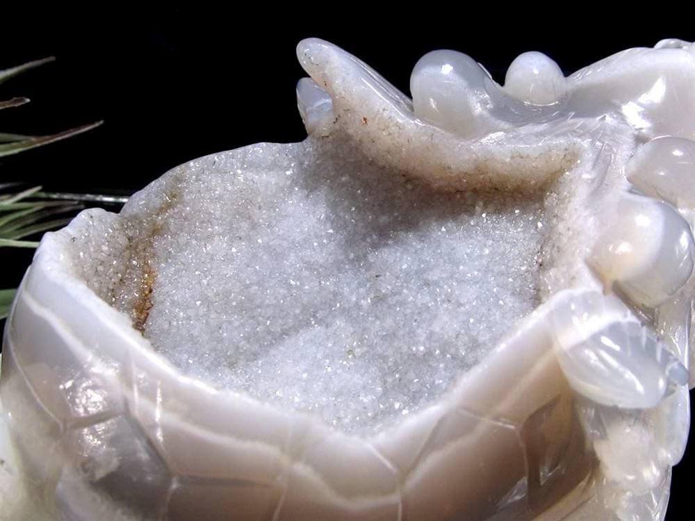 瑪瑙 メノウ めのう 龍穴アゲート トレジャー瑪瑙 龍亀 ロングイ 彫刻 置物