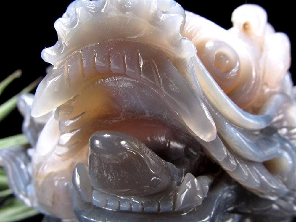 瑪瑙 メノウ めのう 龍穴アゲート トレジャー瑪瑙 龍亀 ロングイ 彫刻 置物