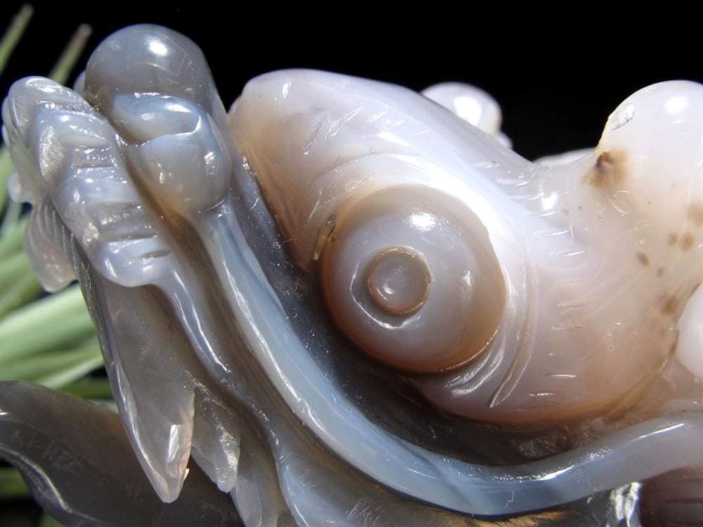 瑪瑙 メノウ めのう 龍穴アゲート トレジャー瑪瑙 龍亀 ロングイ 彫刻 置物