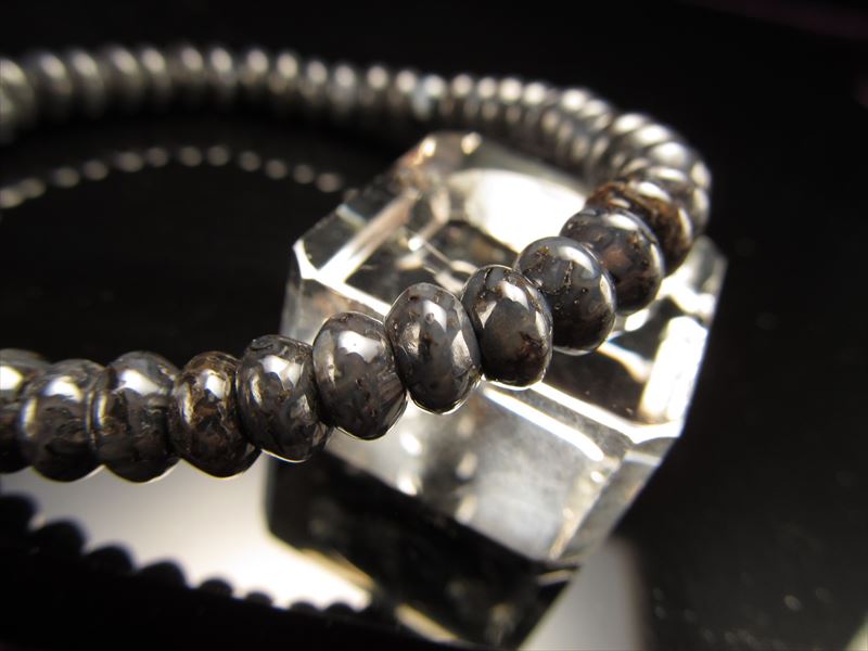 ダイナソーボーン