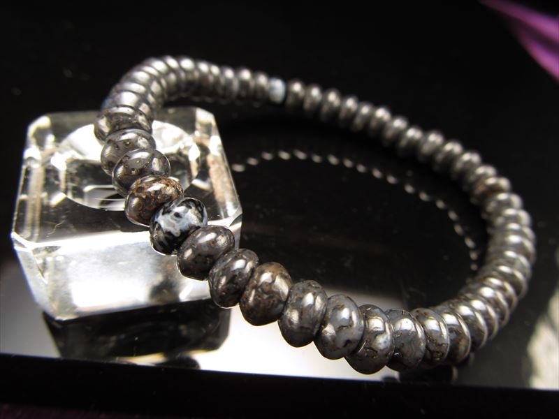 ダイナソーボーン