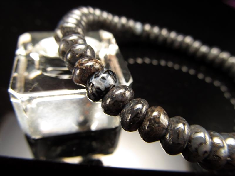 ダイナソーボーン