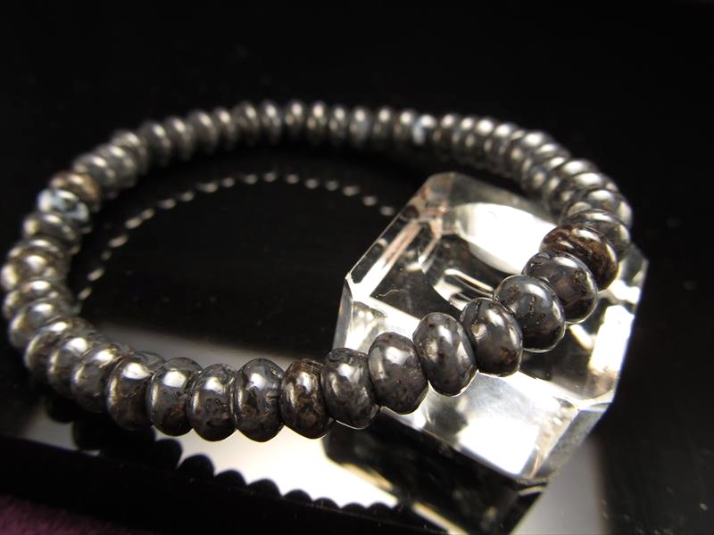 ダイナソーボーン