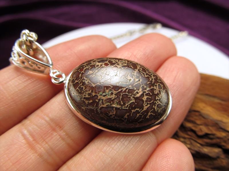 ダイナソーボーン S)Drop dinosaur bone fossil necklace | Gemini