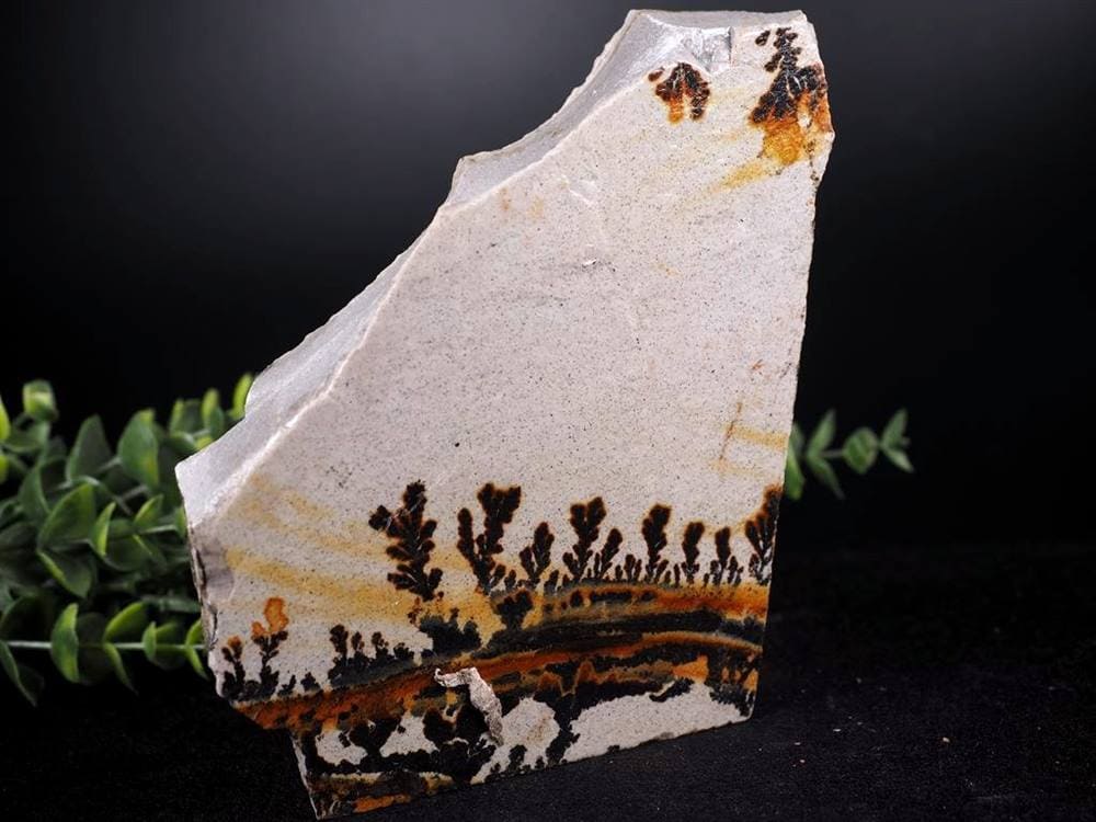 デンドライト 忍石 原石 木の葉形状鉱物 デンドリティック