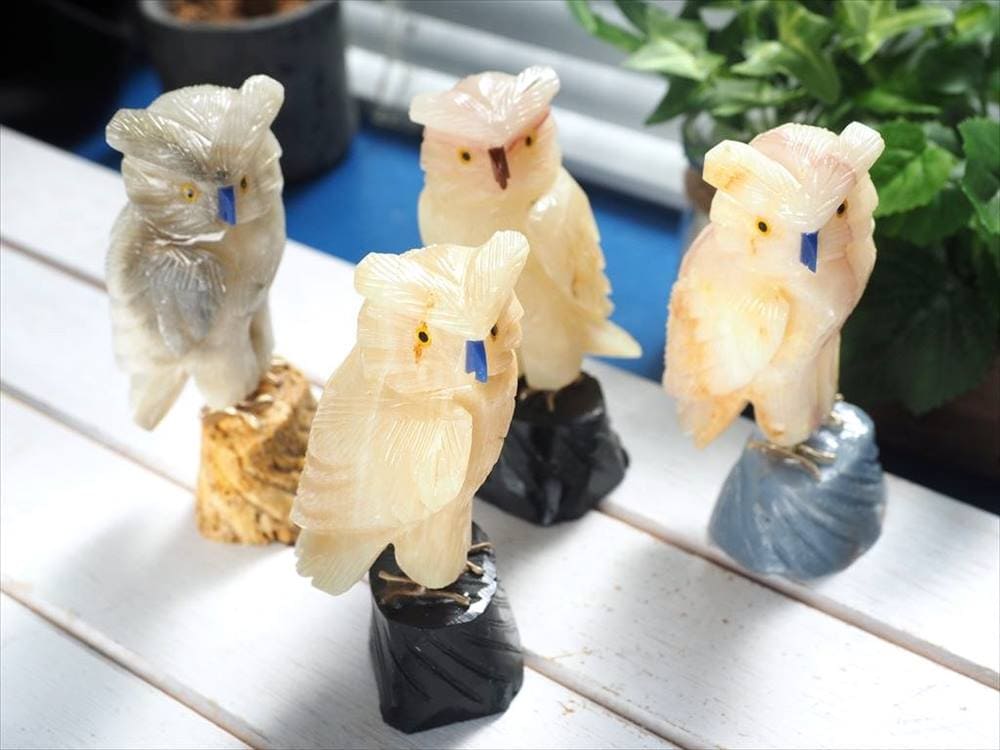 鳥 置物 オウム フクロウ イーグル 風水