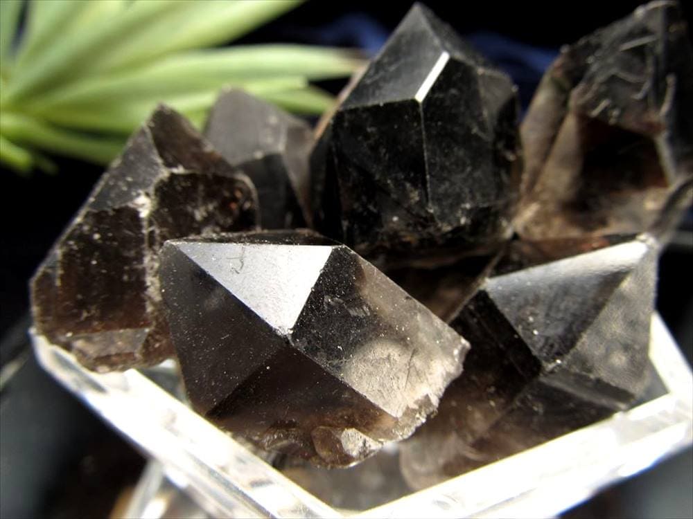 モリオン 黒水晶 ツーソン ポイント 原石

