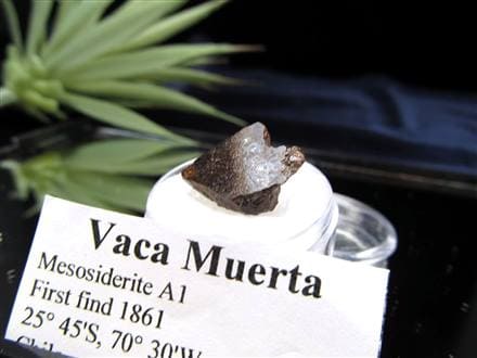 ヴァカ・ムエルタ隕石 メソシデライト 石鉄隕石 隕石 Vaca Muerta