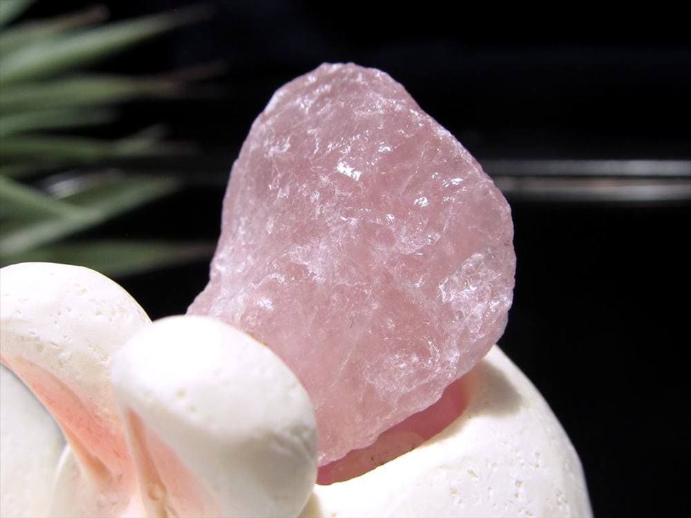 兎 ウサギ 陶器 置物