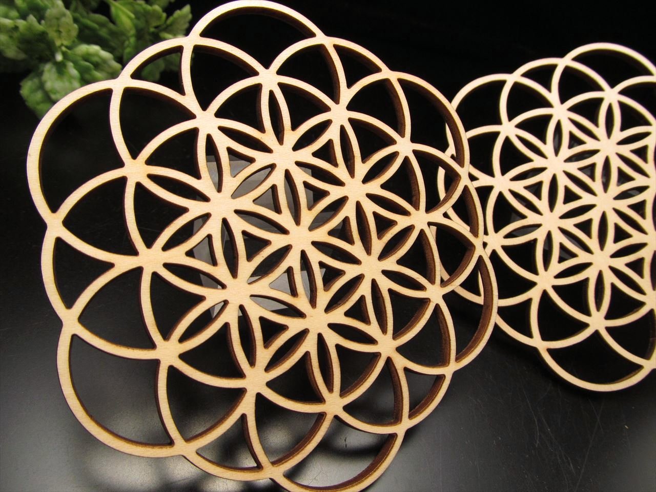 木製コースター