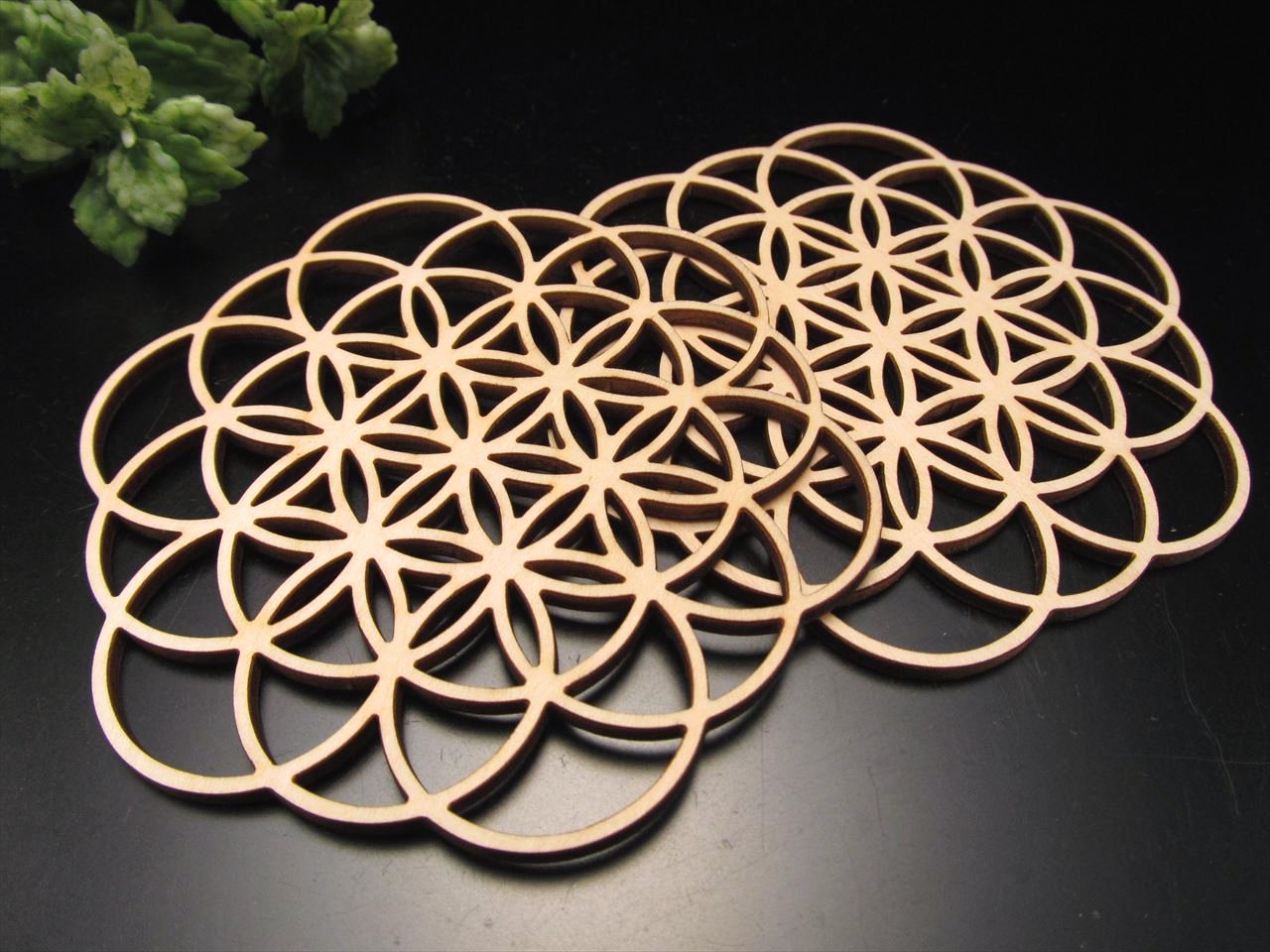 木製コースター