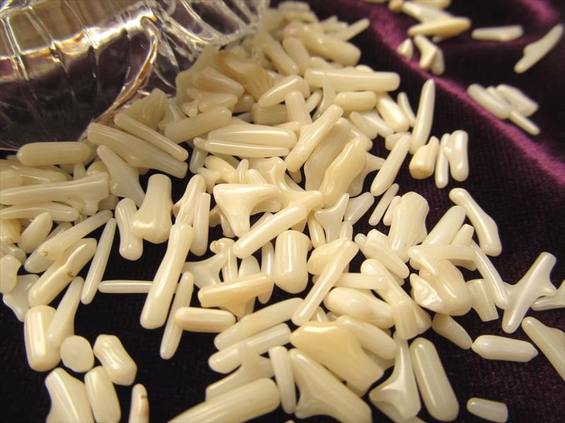 ホワイトコーラル