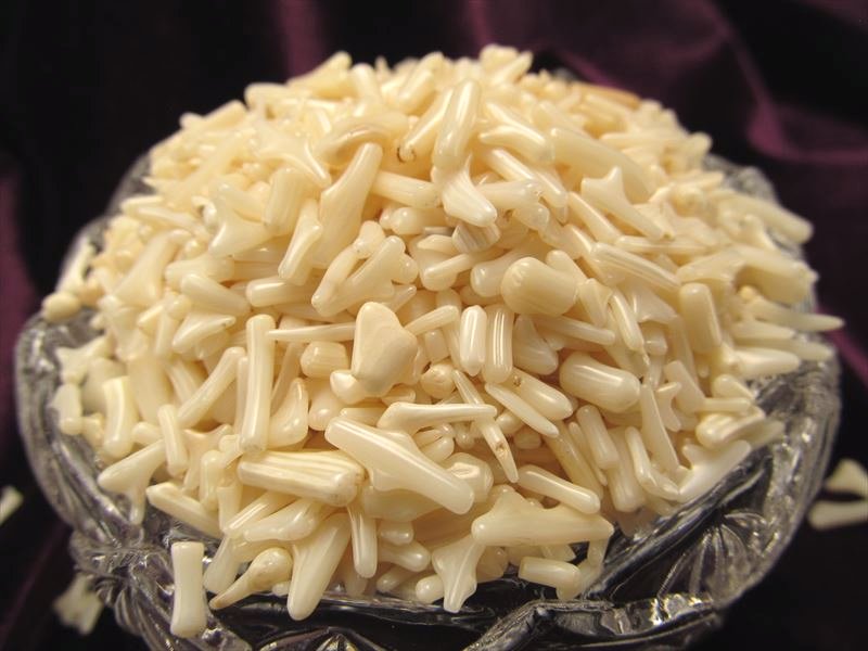 ホワイトコーラル