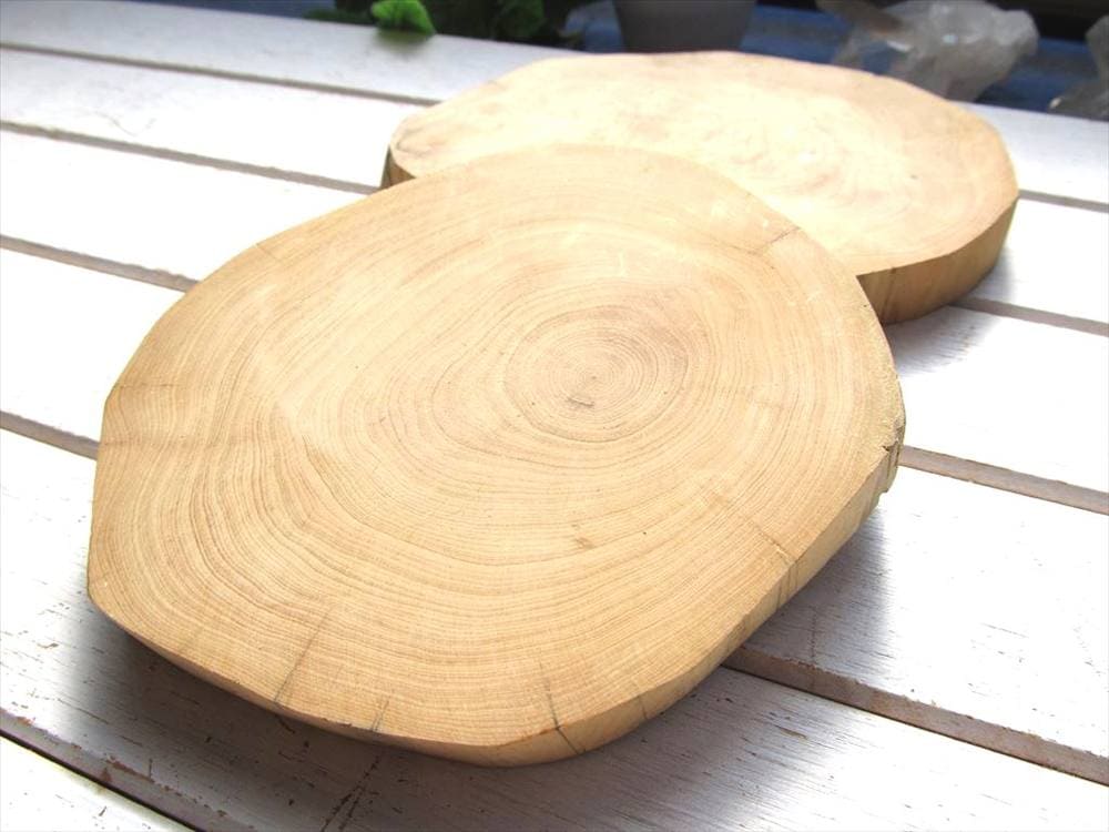崖柏木 ヤーバイ コースター 天然木 切り株