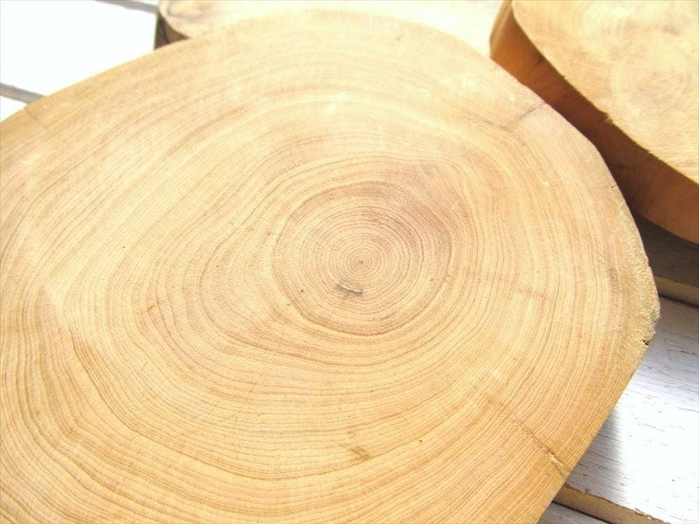 崖柏木 ヤーバイ コースター 天然木 切り株